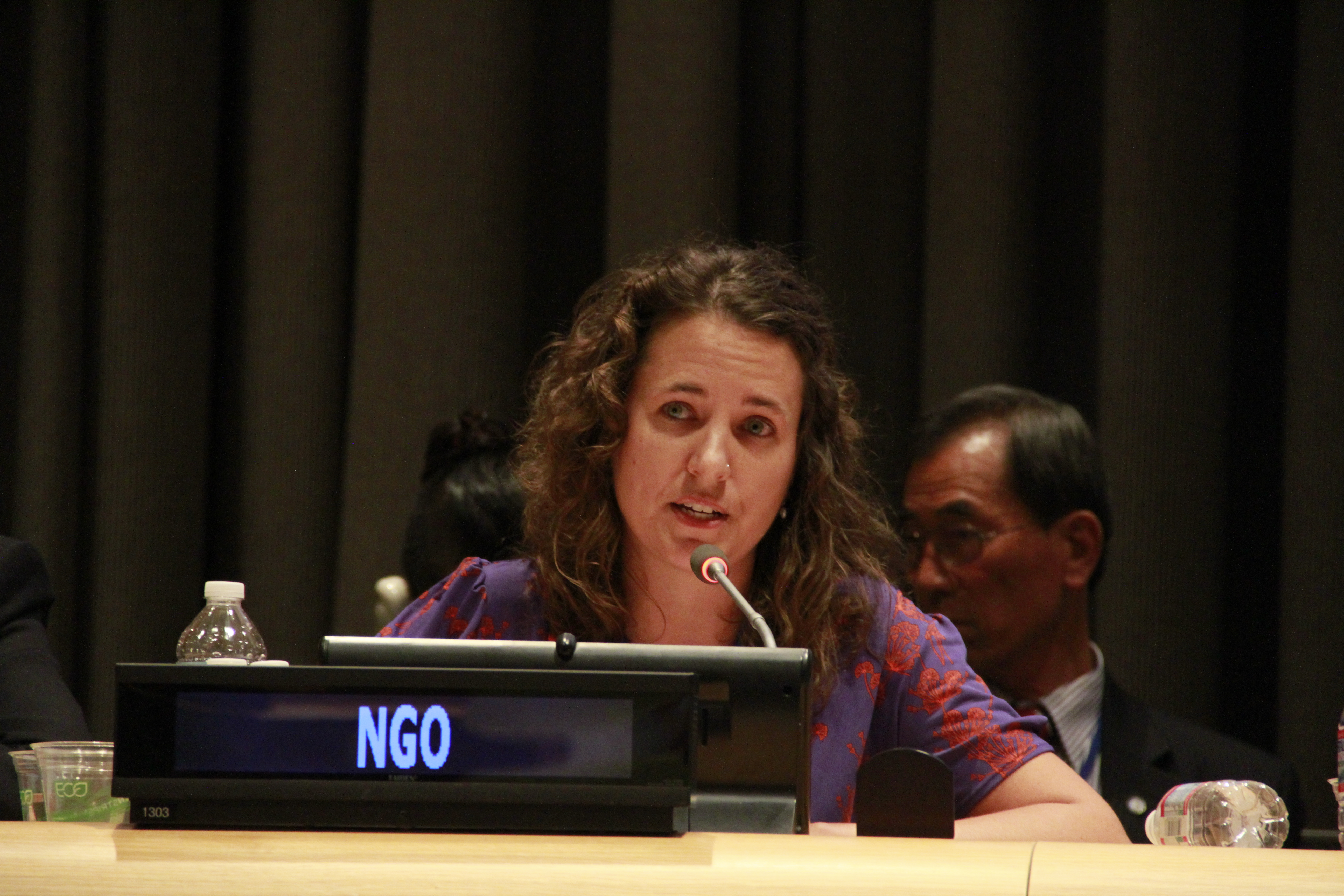 Dr. Emily Welty, director of peace and justice studies at Pace University New York City and vice-moderator of the World Council of Churches Commission on International Affairs addressed the 2015 nuclear Non-Proliferation Treaty Review Conference at the United Nations